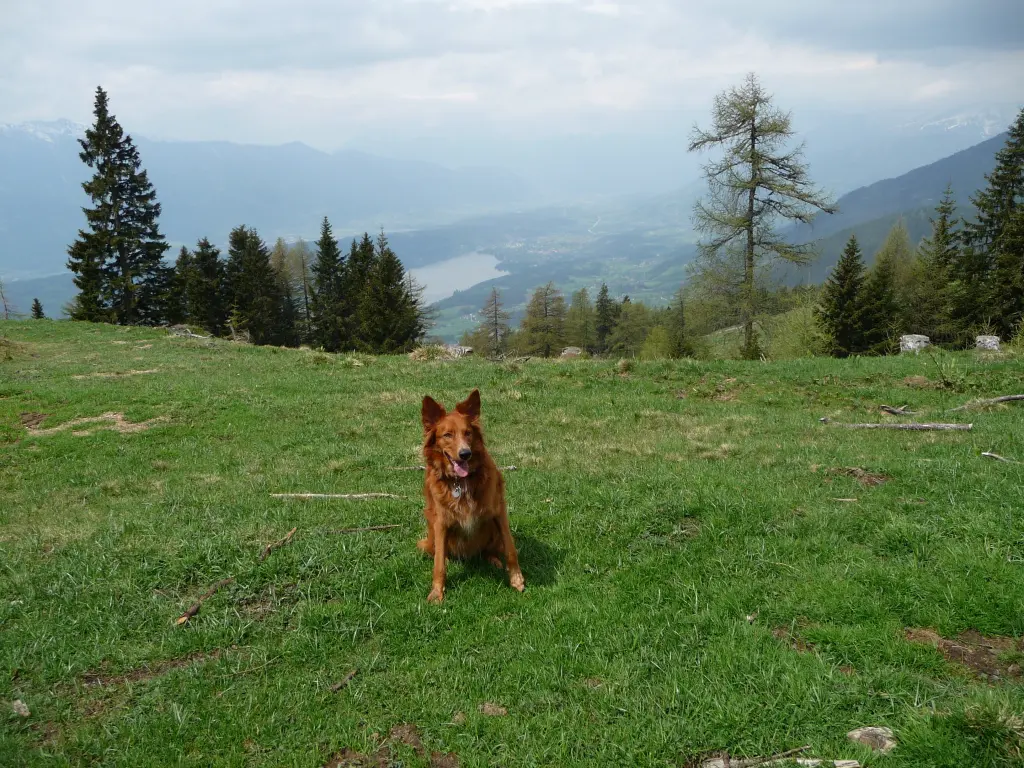 Image from Fito