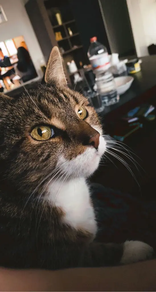 Condolence image of Emily