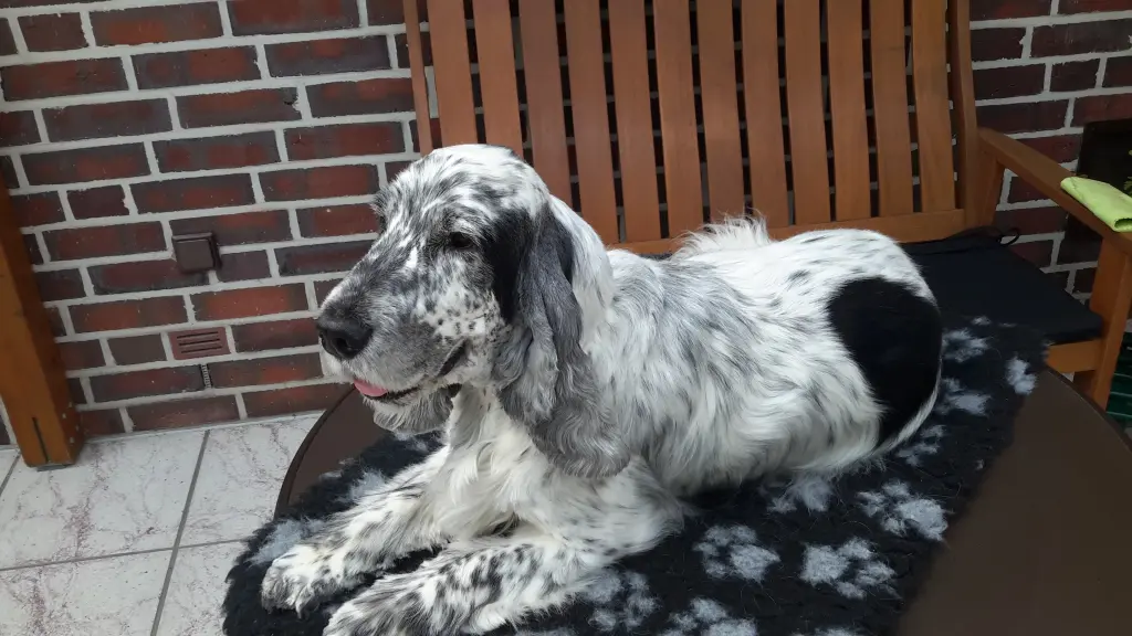 Andachtsbild von Christine