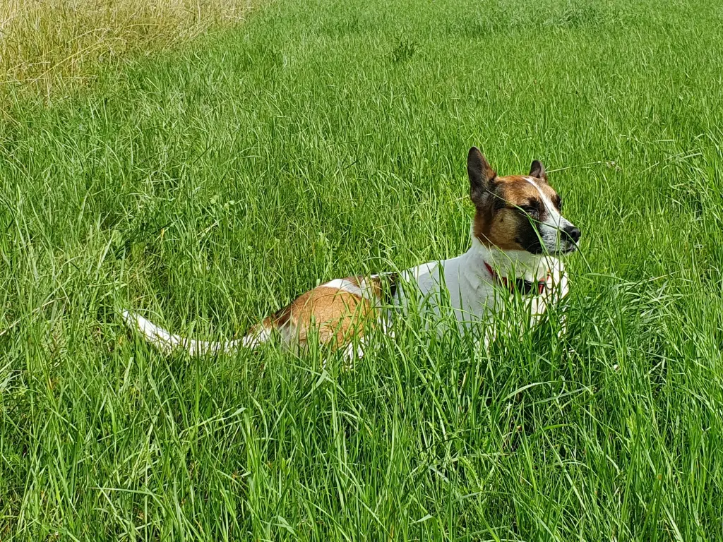 Condolence image of Wolfgang