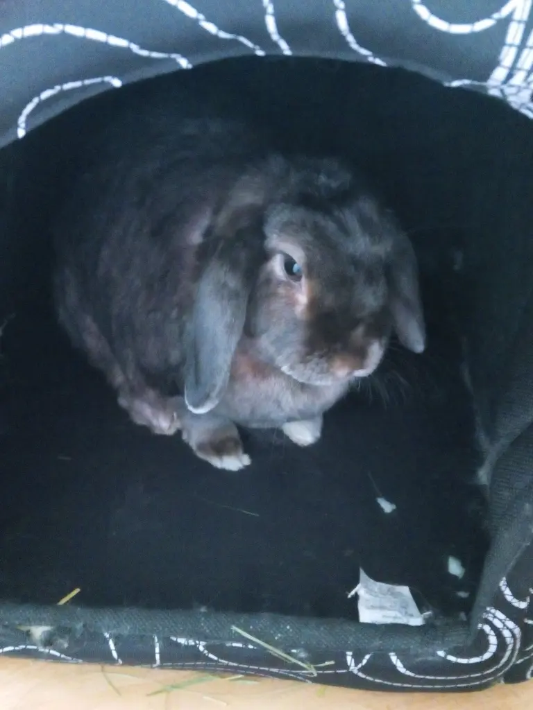 Image from Emmy