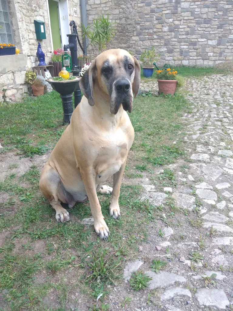 Image from Cleo