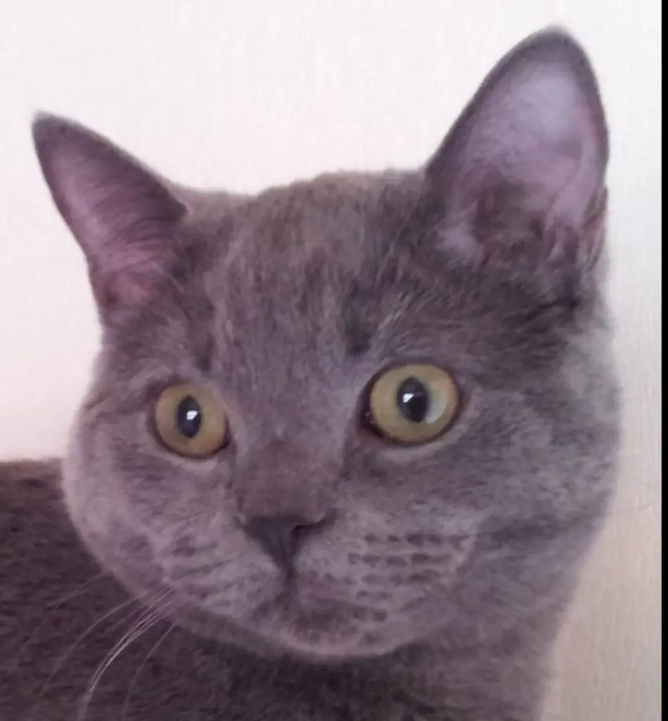 Image from Milow