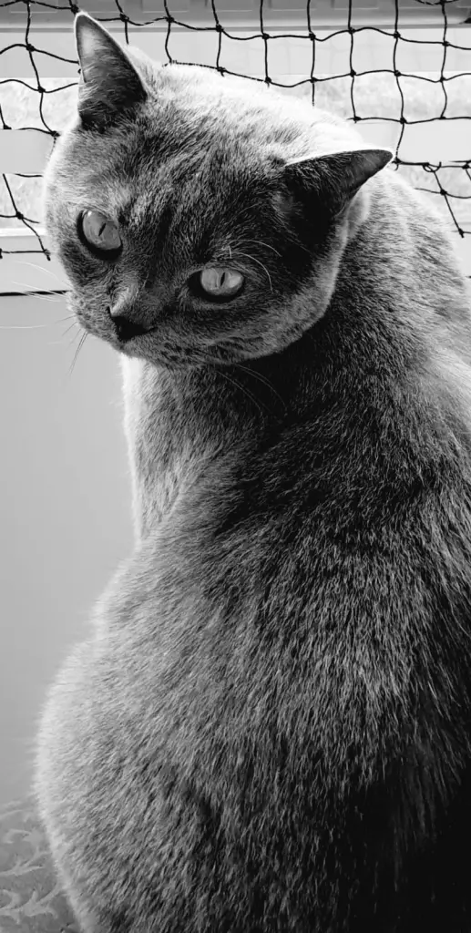 Image from Milow