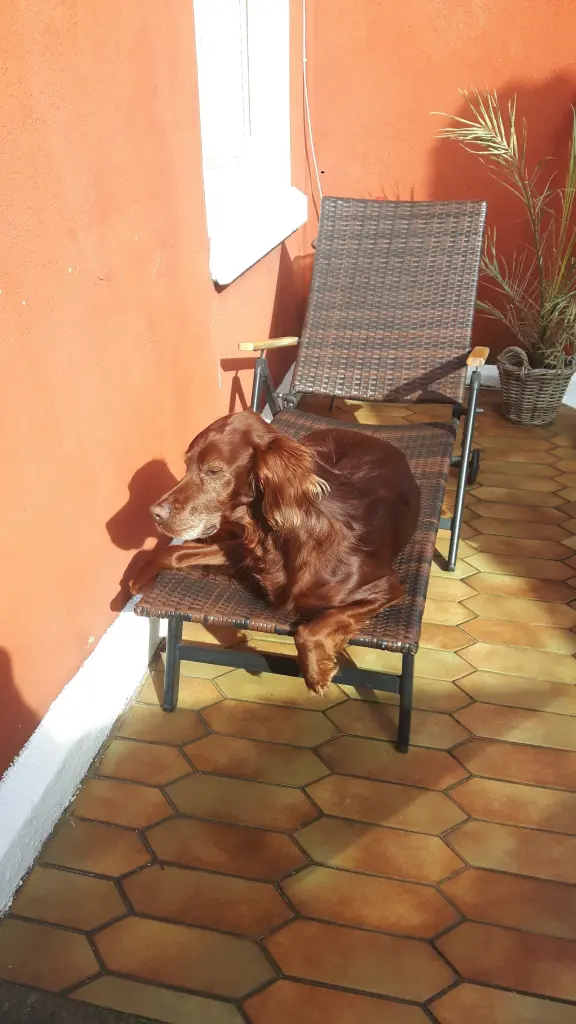 Image from Aramis