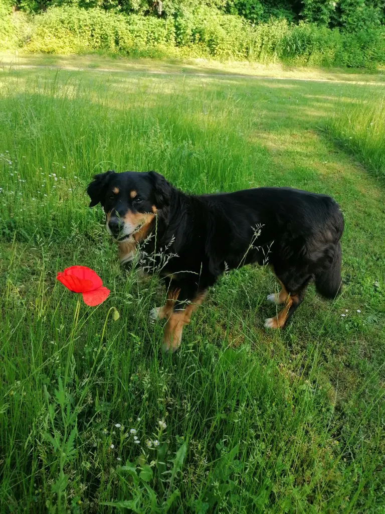 Image from Benjie