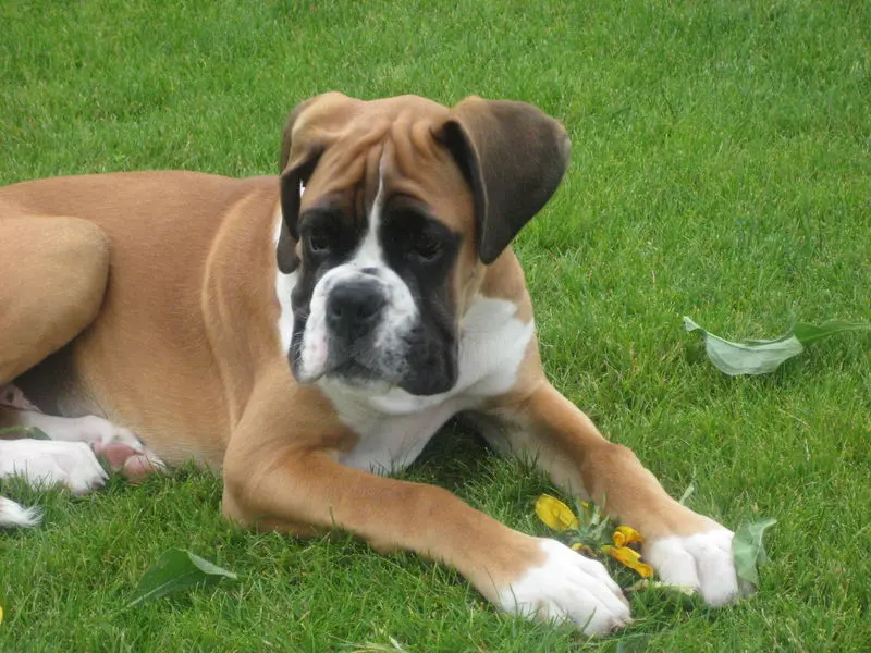 Condolence image of Sabine