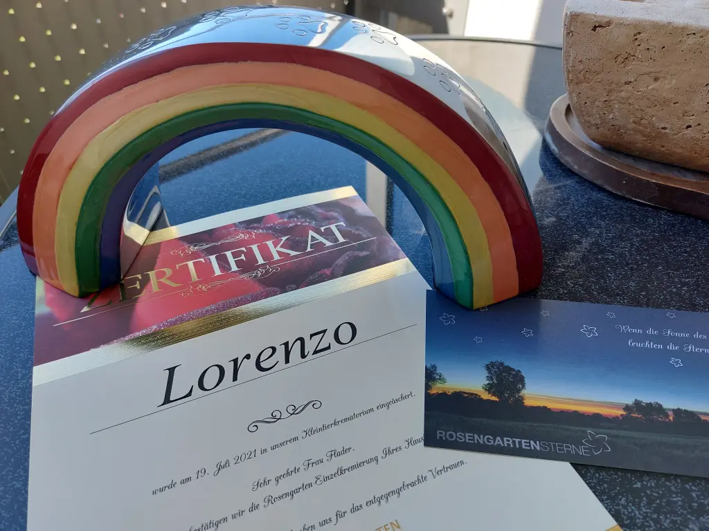 Image from Lorenzo
