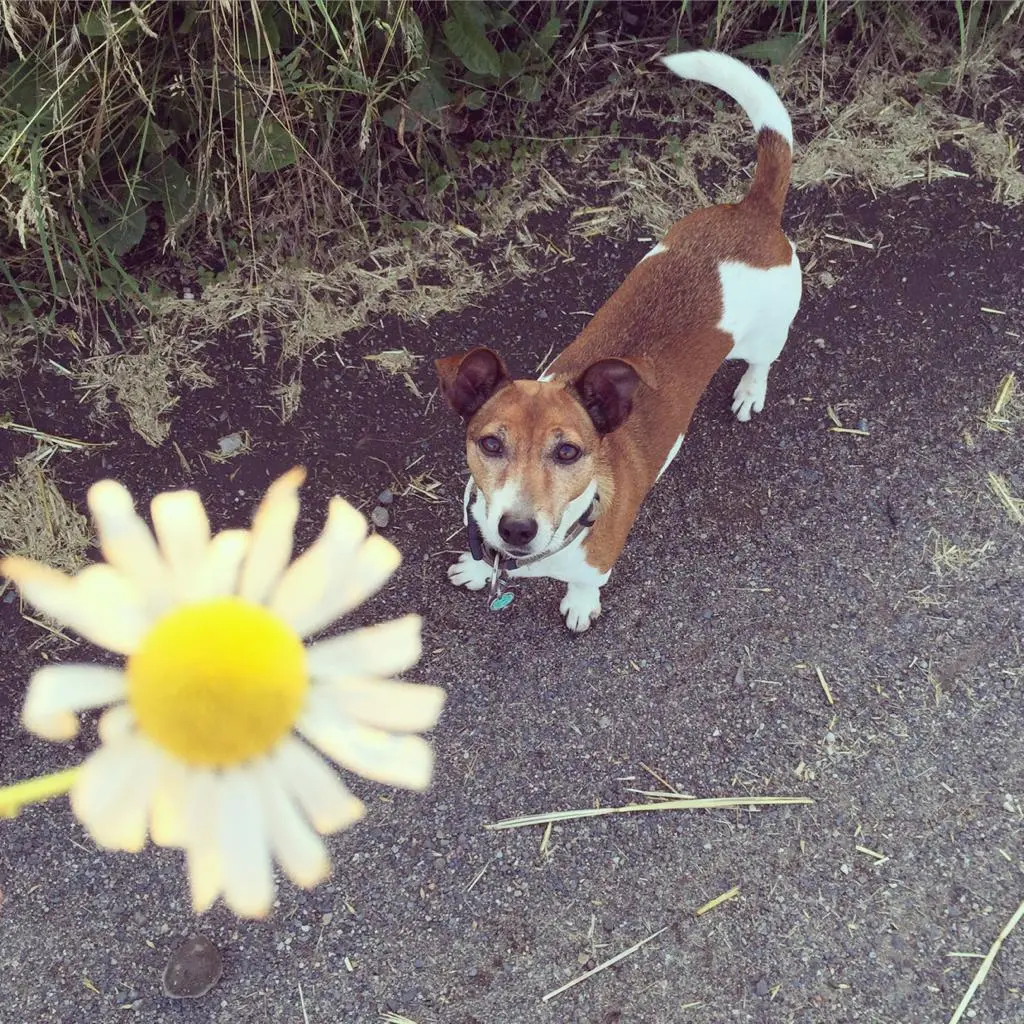 Image from Lilli