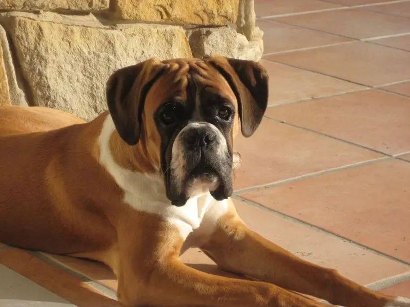 Condolence image of Sabine