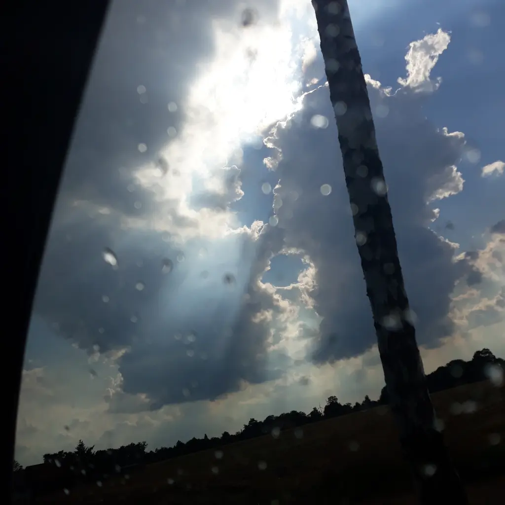 Image from SAM