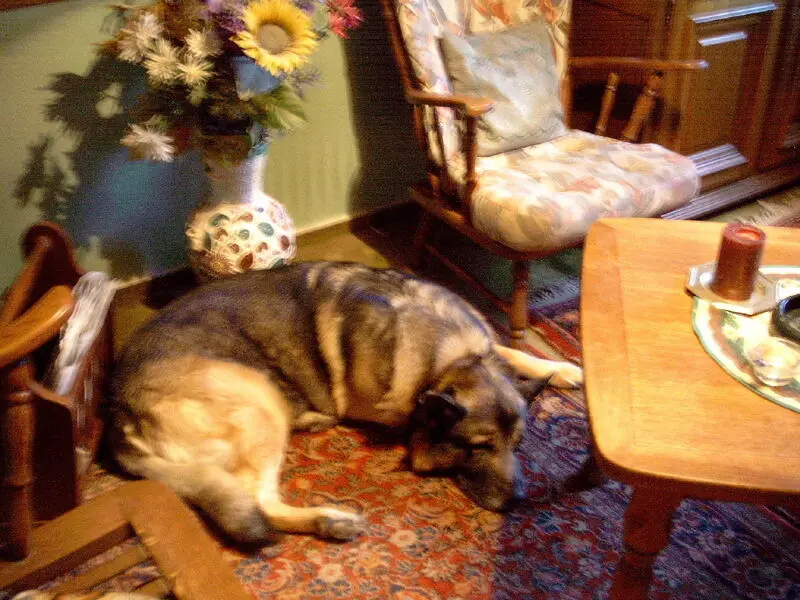 Condolence image of Rosemarie