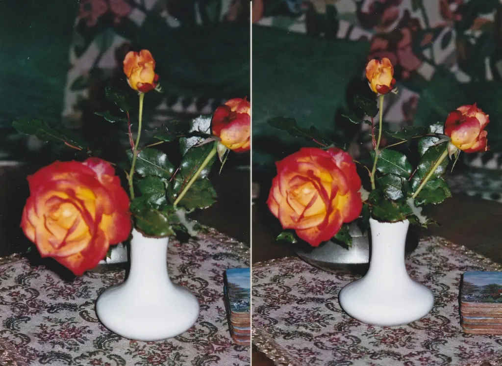 Condolence image of Rosemarie