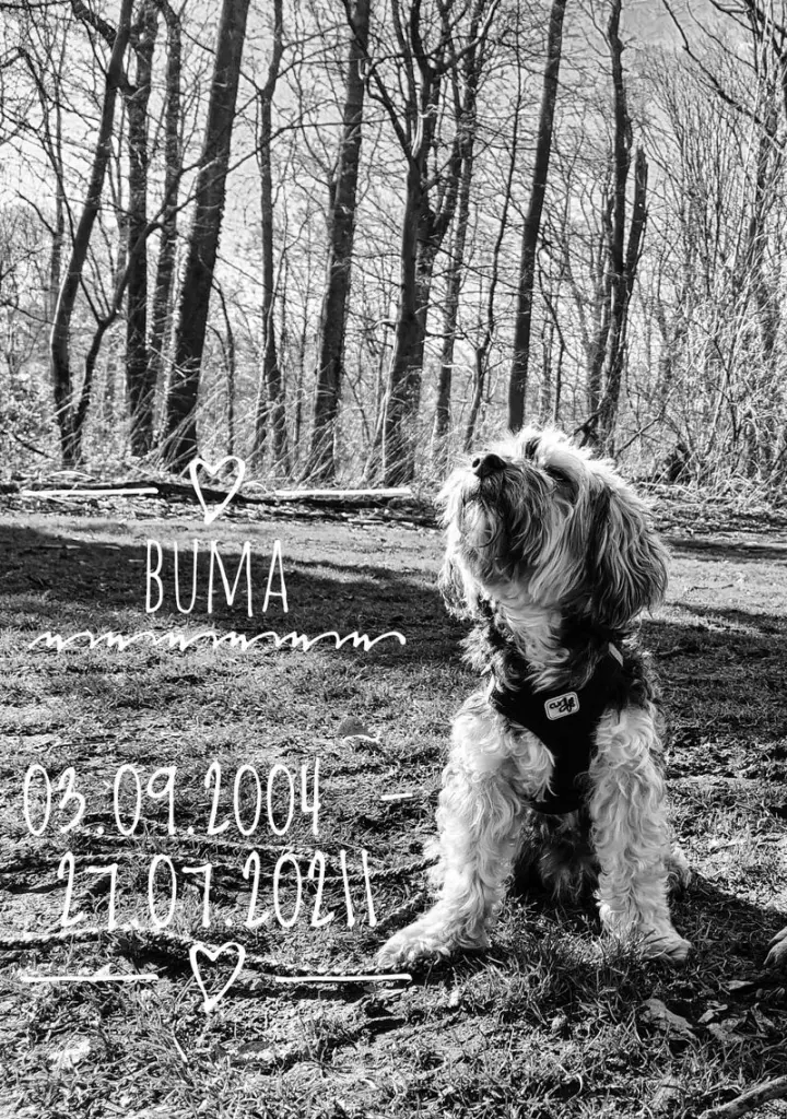 Condolence image of Linda B.