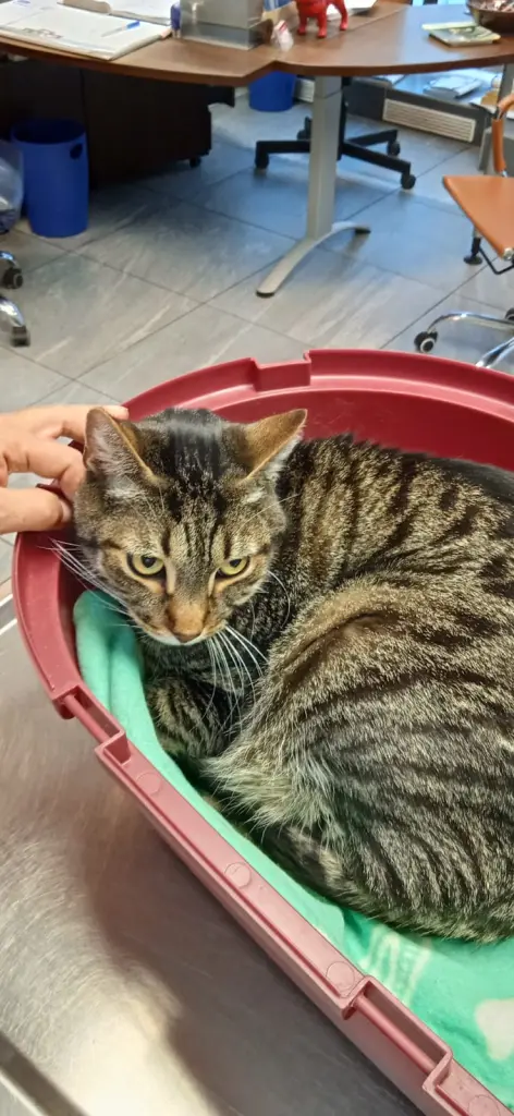 Condolence image of Minette