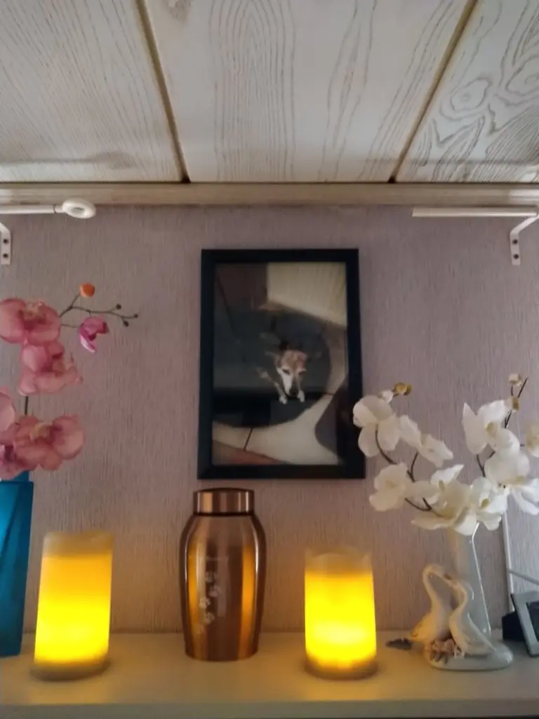 Condolence image of Anneliese
