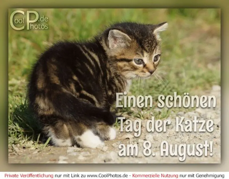 Condolence image of Katrin und Katzi im ❤️