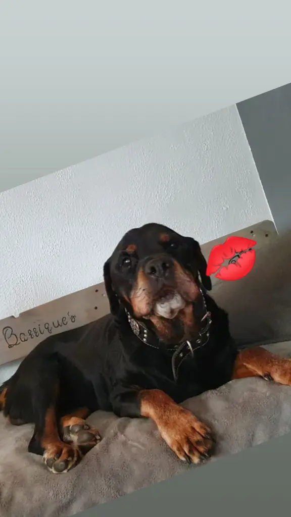 Condolence image of Unbekannt