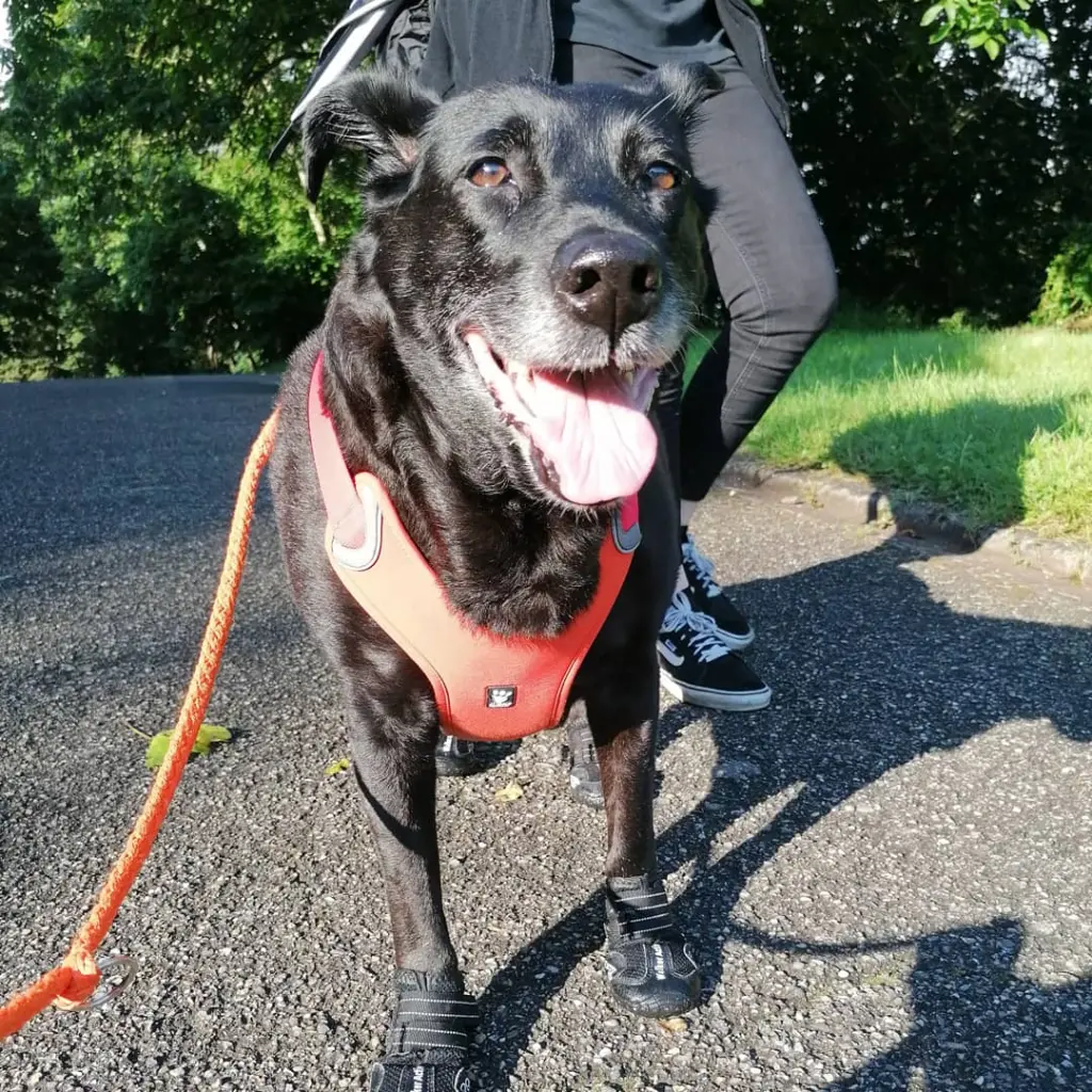 Image from Nera