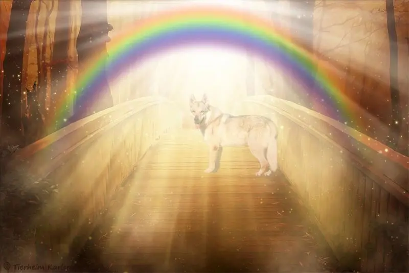 Andachtsbild von Sabine mit Luna & Milo tief im Herzen