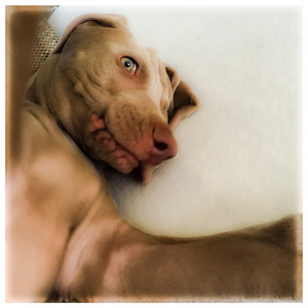 Image from Lenny