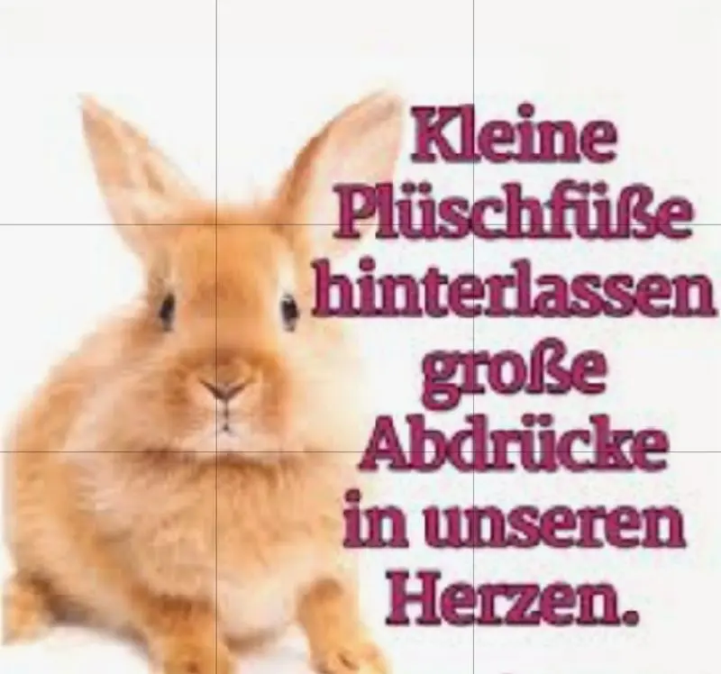 Condolence image of Andrea mit Mausi im Herzen