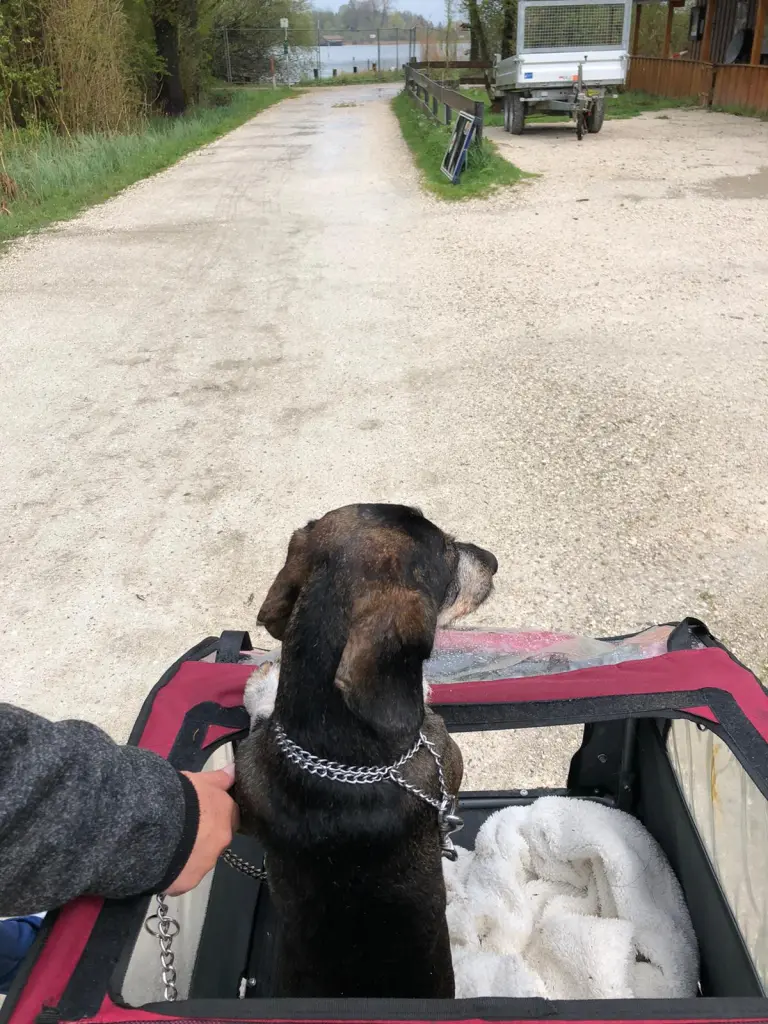 Image from Oskar