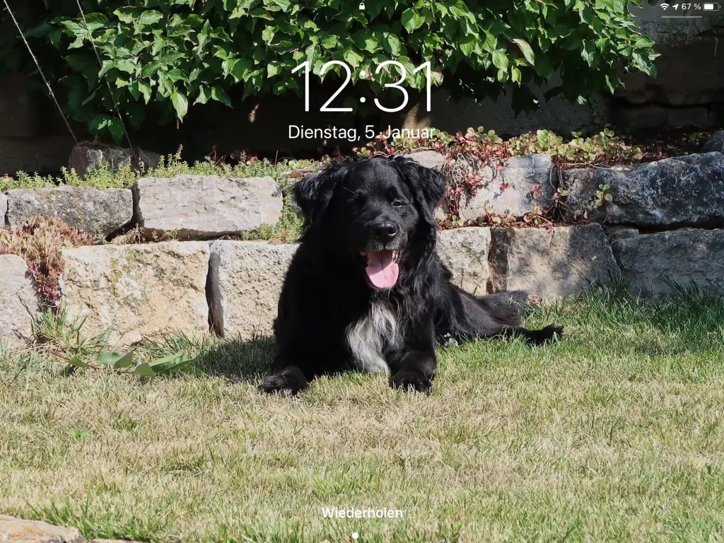 Image from Balu