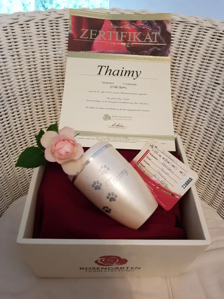 Image from Thaimy