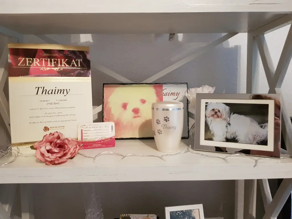 Image from Thaimy