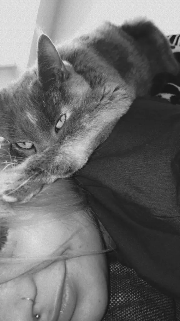 Condolence image of Molly M