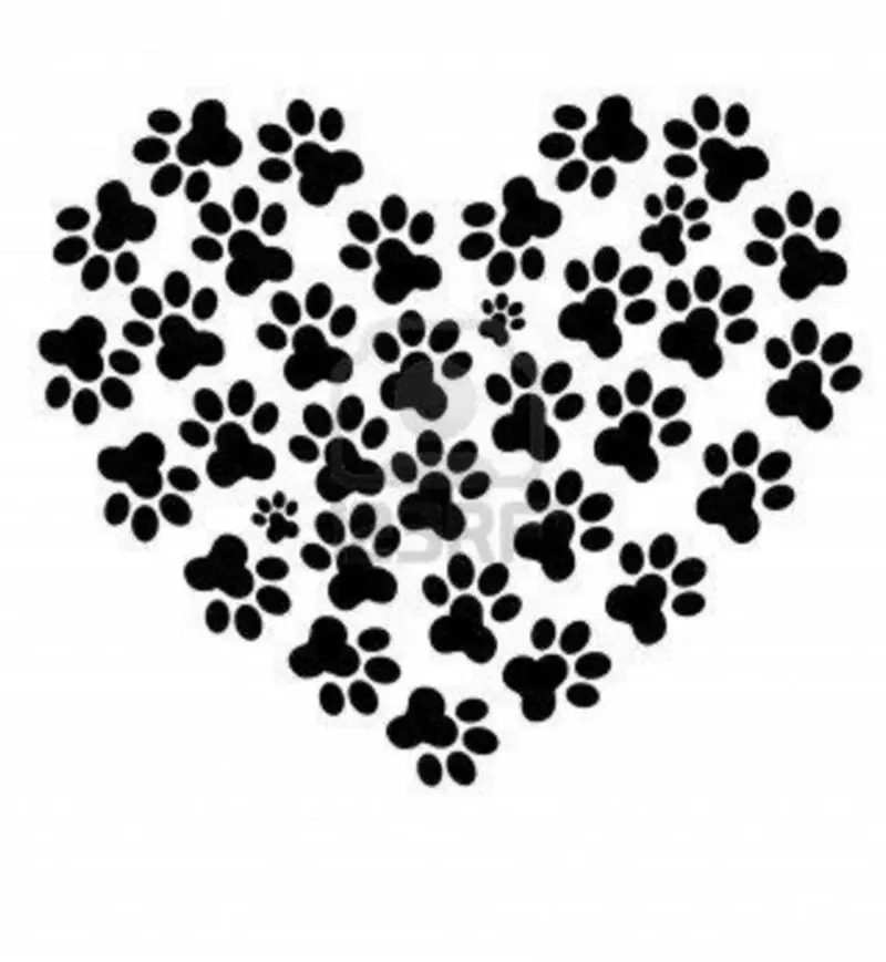 Condolence image of Andrea mit Mausi im Herzen