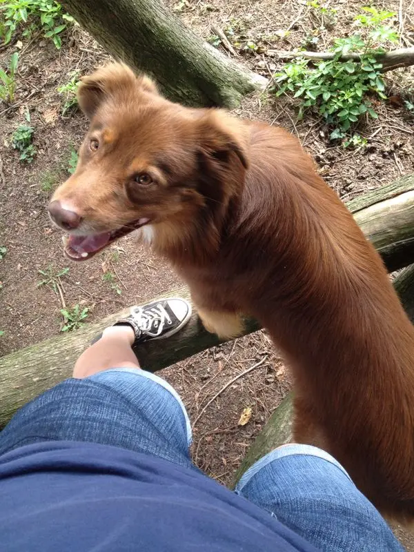 Image from Cookie