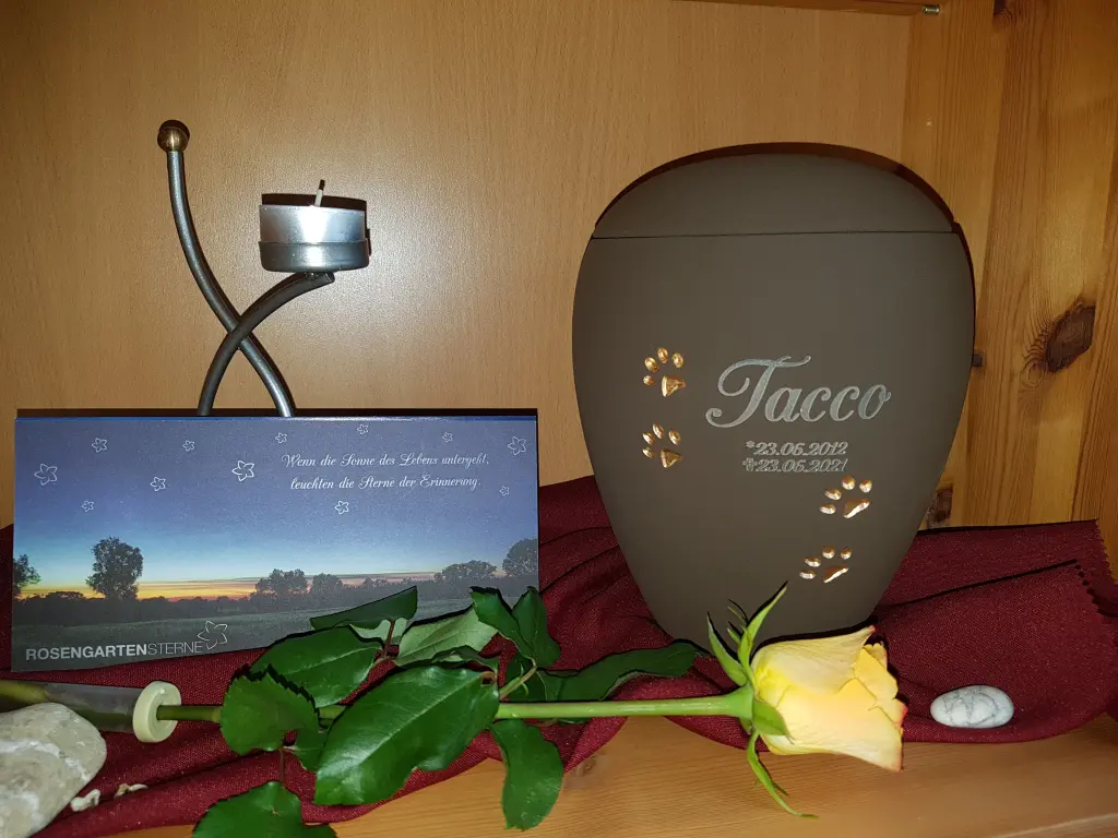 Image from Tacco