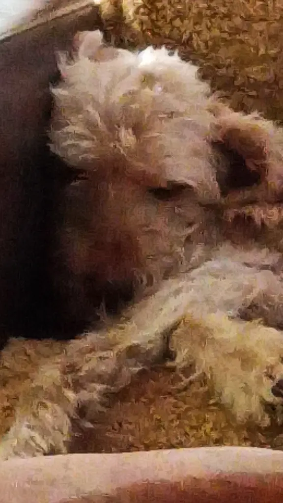 Image from Hardi
