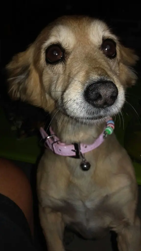 Condolence image of Sylvia