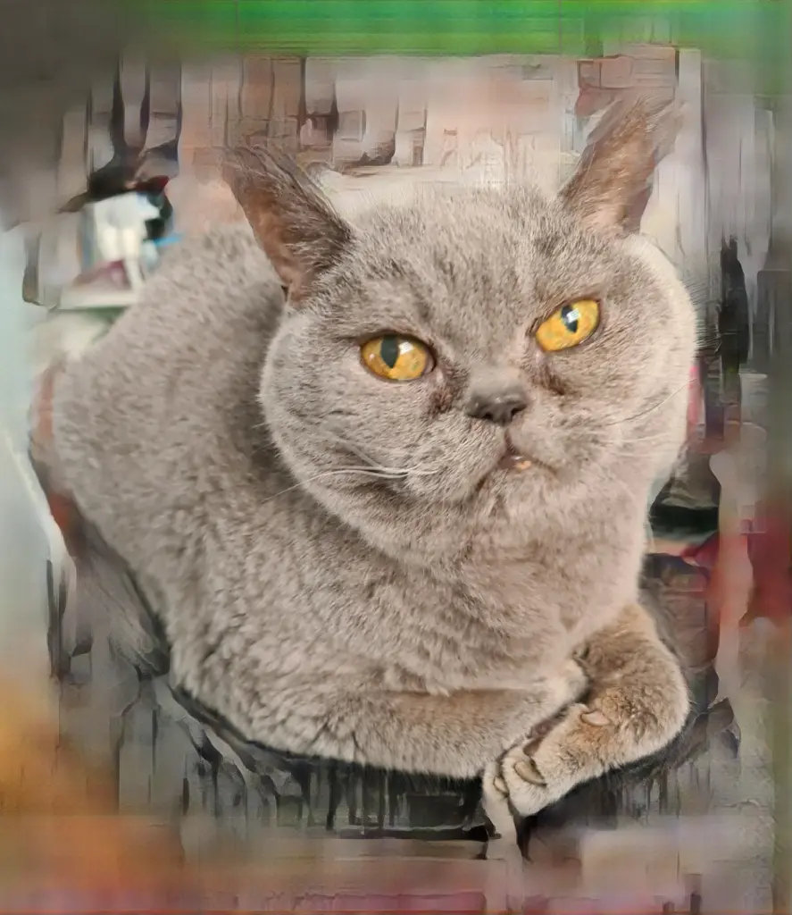 Image from Finchen