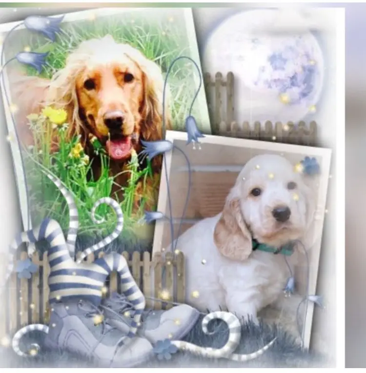 Condolence image of Evelyn 