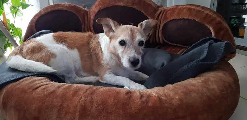 Condolence image of Manuela