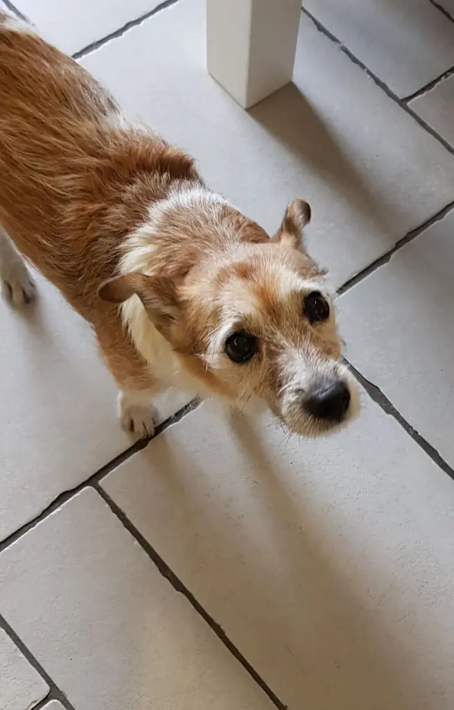 Condolence image of Manuela