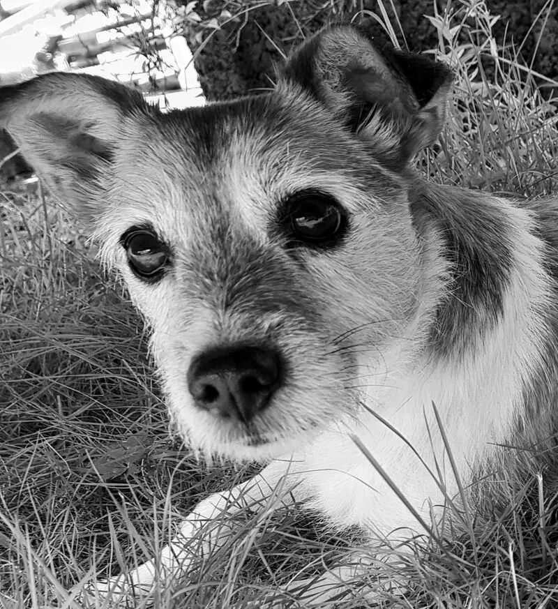 Condolence image of Manuela