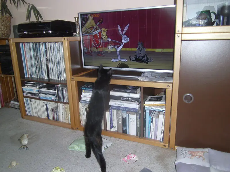 Condolence image of Susanne