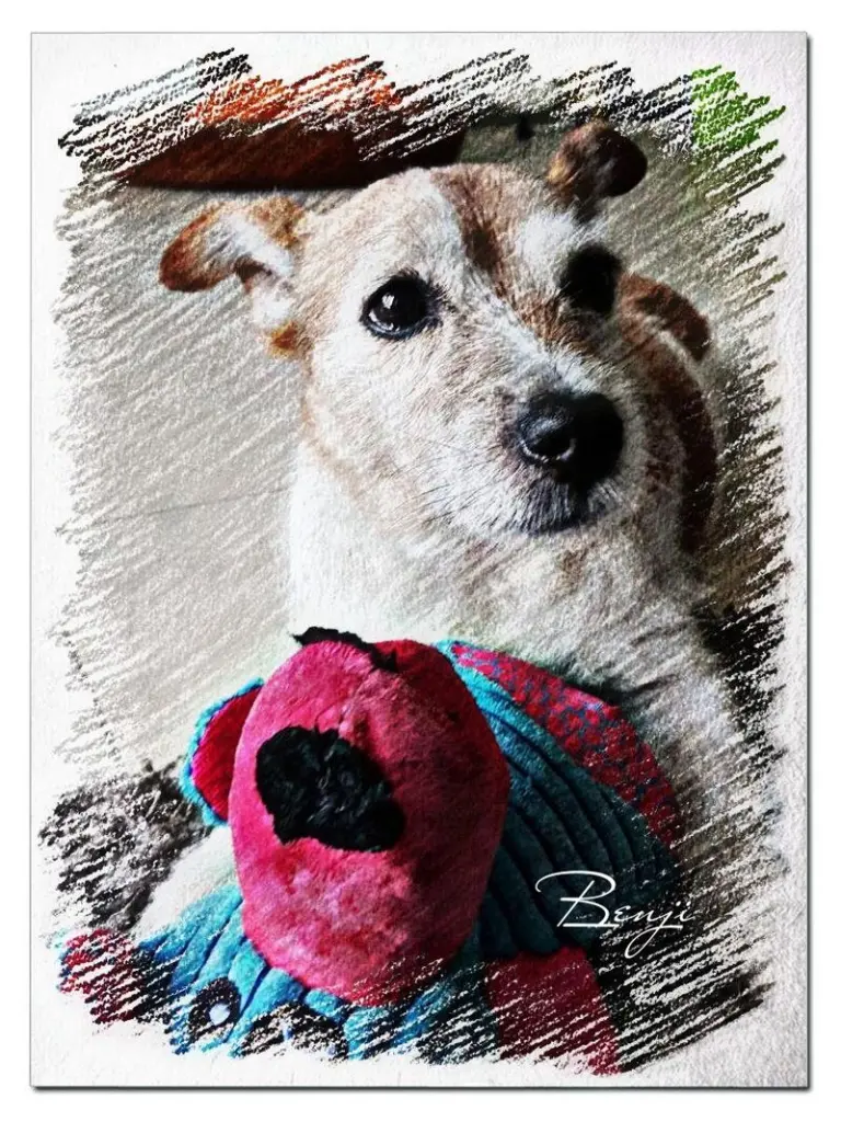 Condolence image of Unbekannt