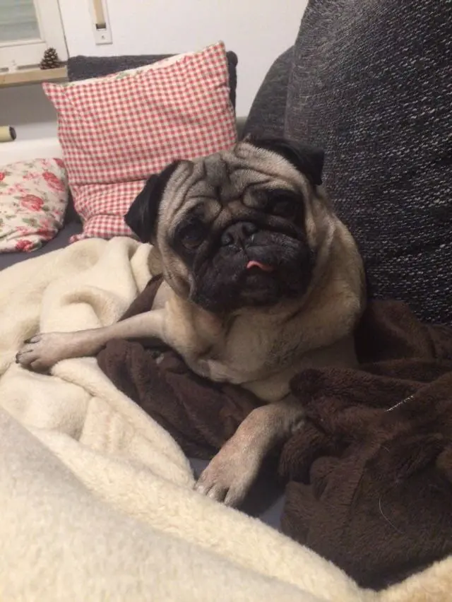 Image from Tayler