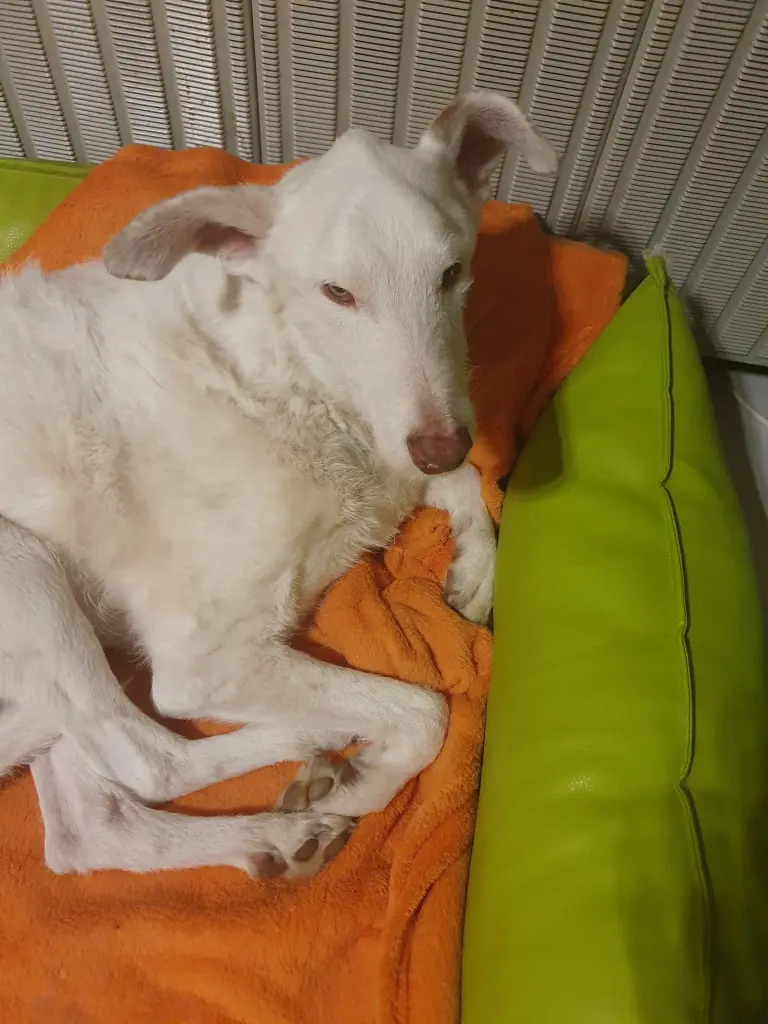 Image from Ramón