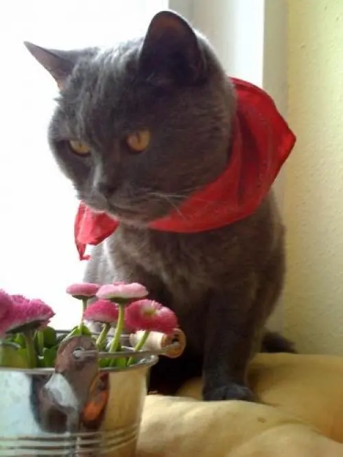 Image from Unbekannt