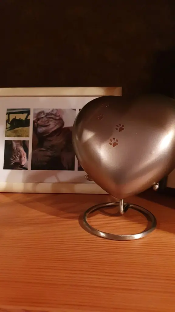 Condolence image of Ute
