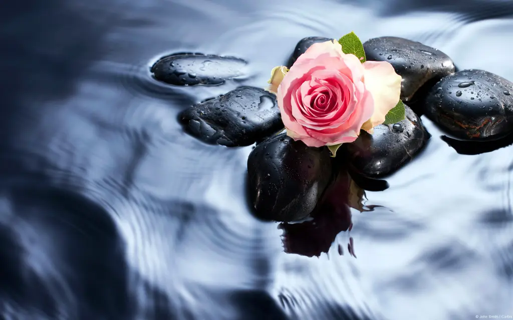 Condolence image of Ute