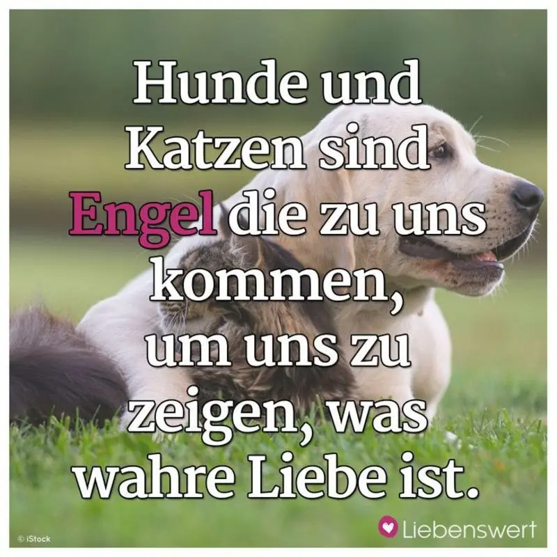 Condolence image of Jeannette mit Sisi und Lissy im ❤️