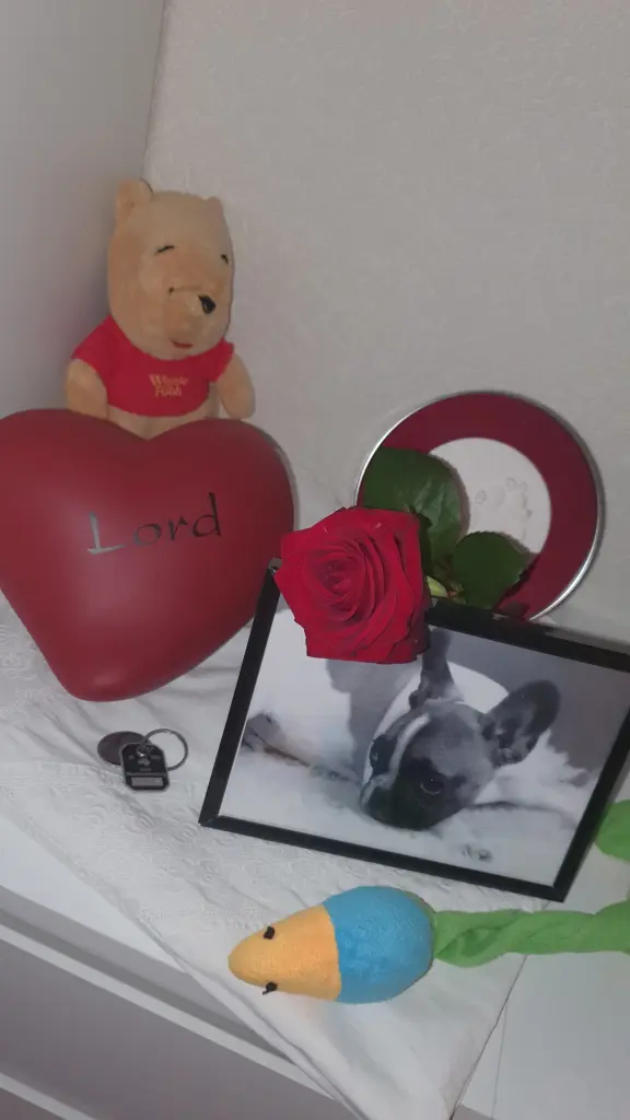 Image from Lord